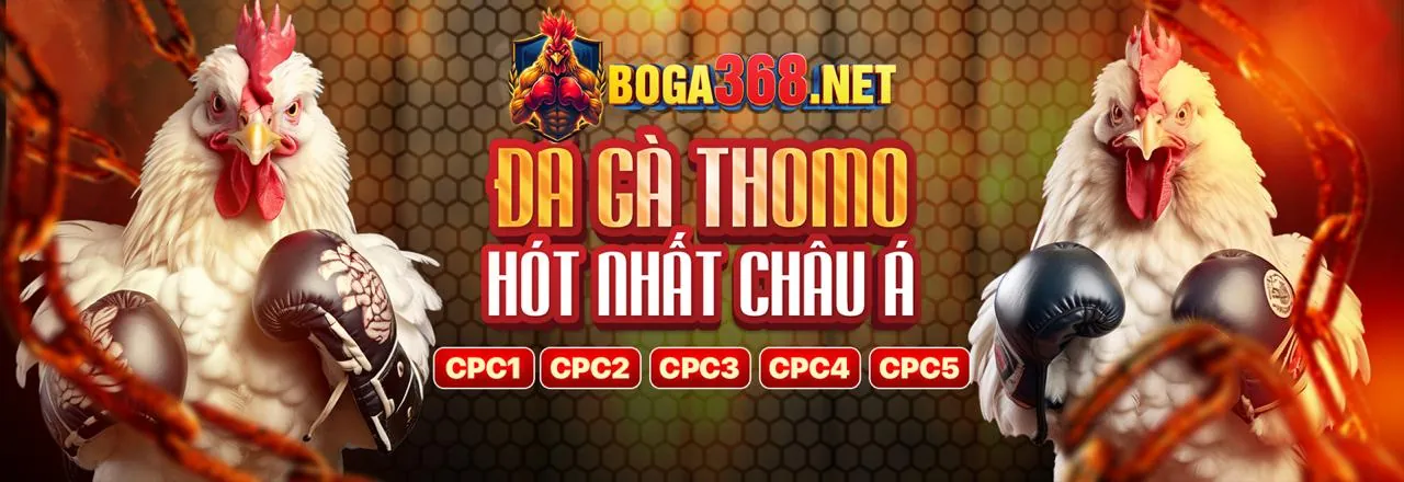 Đá Gà Trực Tuyến 88cc